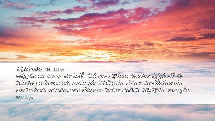 నిర్గమకాండం 17:14 TELIRV Bible Verse Image