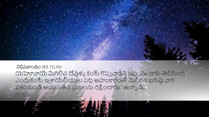నిర్గమకాండం 18:11 TELIRV Bible Verse Image