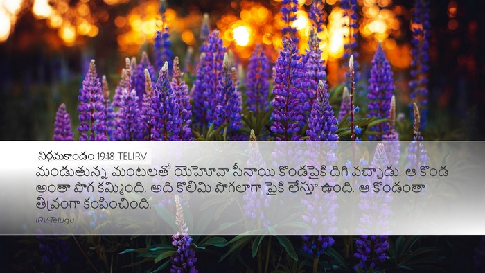 నిర్గమకాండం 19:18 TELIRV Bible Verse Image