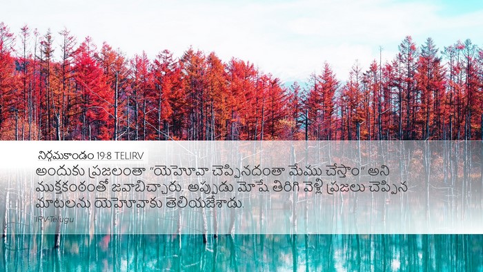 నిర్గమకాండం 19:8 TELIRV Bible Verse Image