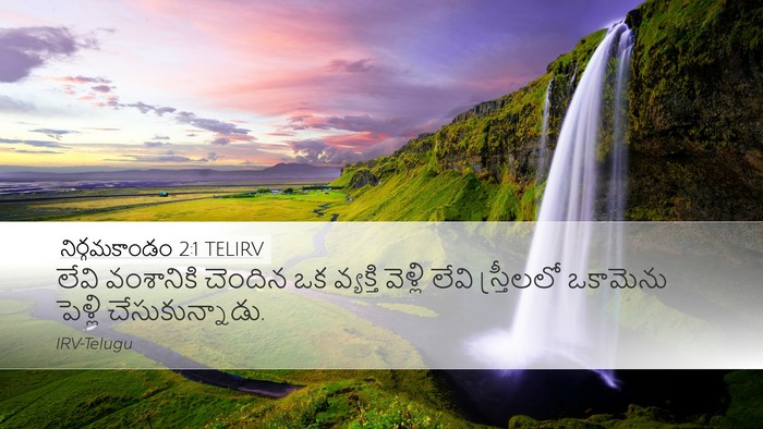 నిర్గమకాండం 2:1 TELIRV Bible Verse Image
