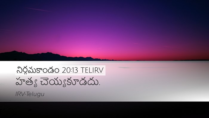 నిర్గమకాండం 20:13 TELIRV Bible Verse Image