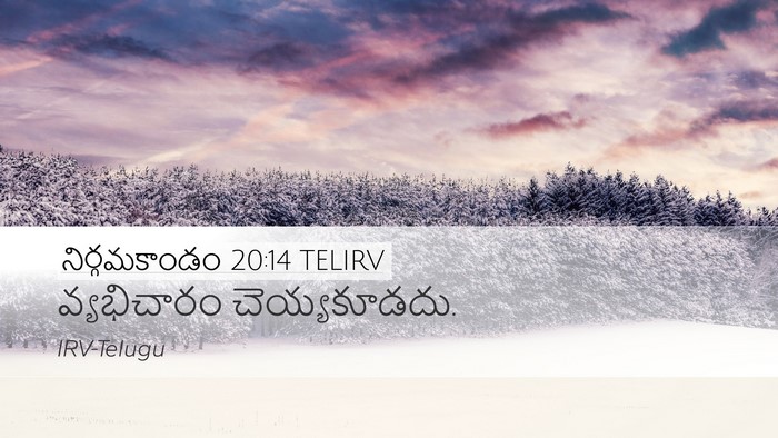 నిర్గమకాండం 20:14 TELIRV Bible Verse Image