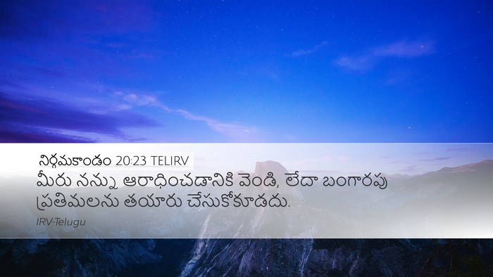 నిర్గమకాండం 20:23 TELIRV Bible Verse Image