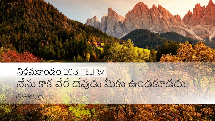 నిర్గమకాండం 20:3 TELIRV Bible Verse Image