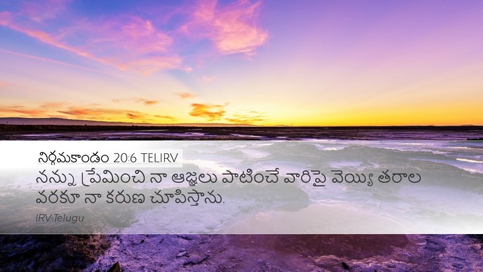 నిర్గమకాండం 20:6 TELIRV Bible Verse Image