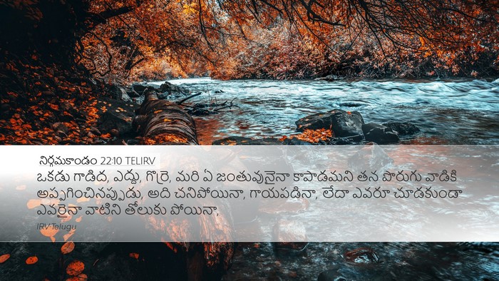 నిర్గమకాండం 22:10 TELIRV Desktop Wallpaper - ఒకడు గాడిద, ఎద్దు, - Desktop Bible Verse Wallpaper