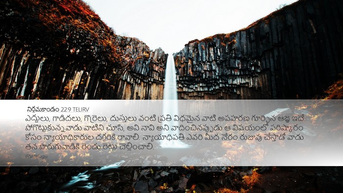 నిర్గమకాండం 22:9 TELIRV Bible Verse Image