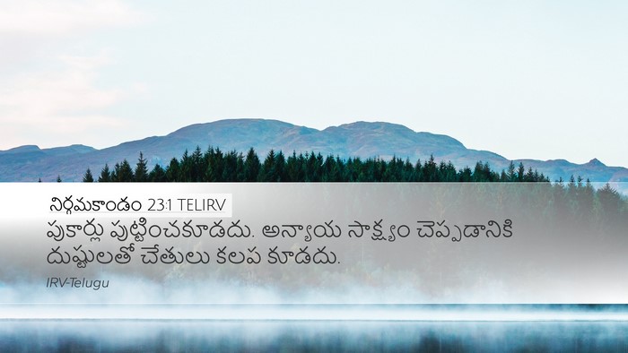 నిర్గమకాండం 23:1 TELIRV Bible Verse Image