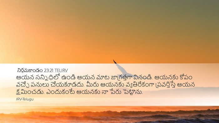 నిర్గమకాండం 23:21 TELIRV Bible Verse Image