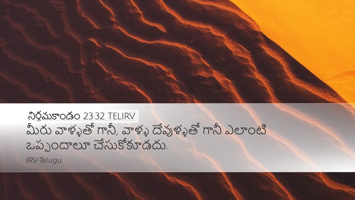 నిర్గమకాండం 23:32 TELIRV Bible Verse Image