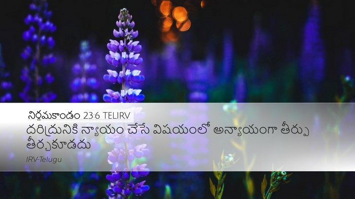 నిర్గమకాండం 23:6 TELIRV Bible Verse Image
