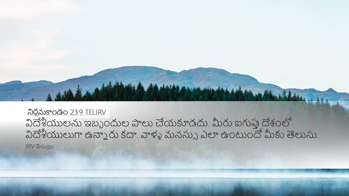 నిర్గమకాండం 23:9 TELIRV Bible Verse Image