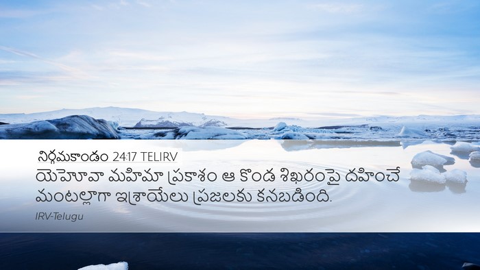 నిర్గమకాండం 24:17 TELIRV Bible Verse Image