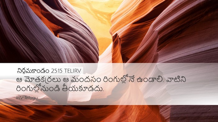 నిర్గమకాండం 25:15 TELIRV Bible Verse Image
