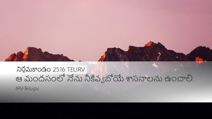 నిర్గమకాండం 25:16 TELIRV Bible Verse Image