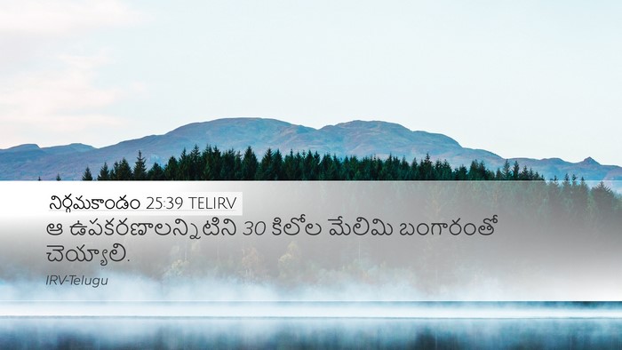 నిర్గమకాండం 25:39 TELIRV Desktop Wallpaper - ఆ ఉపకరణాలన్నిటిని - Desktop Bible Verse Wallpaper