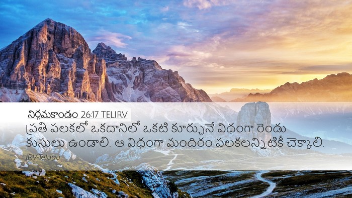 నిర్గమకాండం 26:17 TELIRV Desktop Wallpaper - ప్రతి పలకలో - Desktop Bible Verse Wallpaper