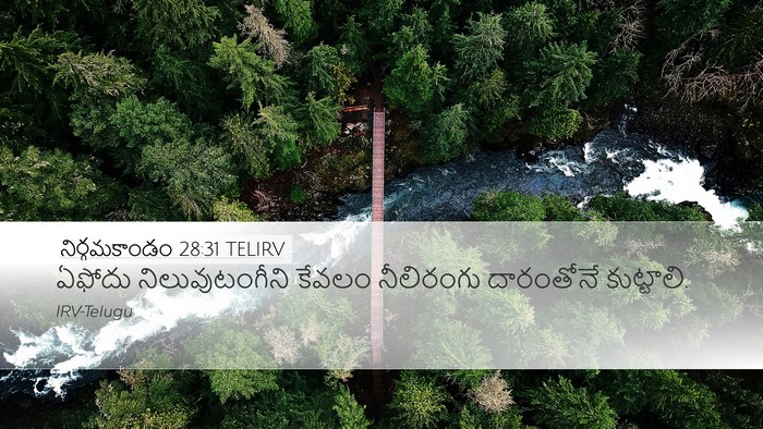 నిర్గమకాండం 28:31 TELIRV Bible Verse Image