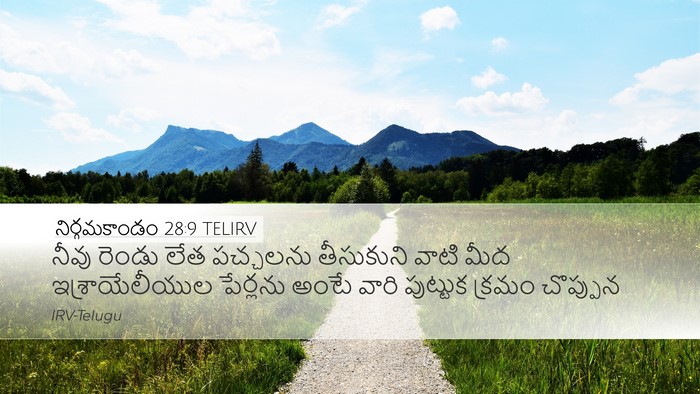 నిర్గమకాండం 28:9 TELIRV Bible Verse Image