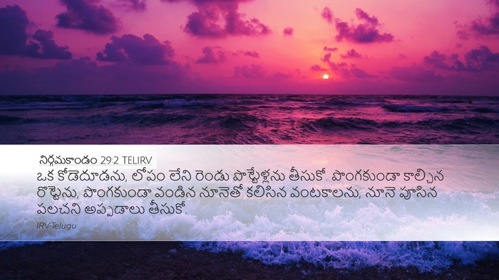 నిర్గమకాండం 29:2 TELIRV Bible Verse Image