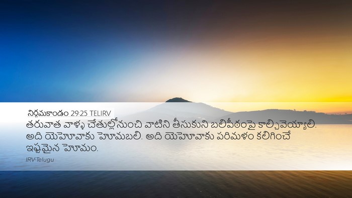 నిర్గమకాండం 29:25 TELIRV Bible Verse Image