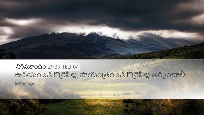 నిర్గమకాండం 29:39 TELIRV Bible Verse Image