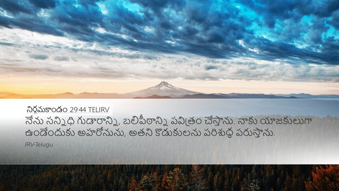 నిర్గమకాండం 29:44 TELIRV Bible Verse Image