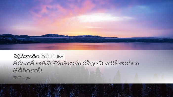 నిర్గమకాండం 29:8 TELIRV Bible Verse Image