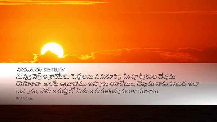 నిర్గమకాండం 3:16 TELIRV Bible Verse Image