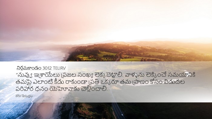 నిర్గమకాండం 30:12 TELIRV Bible Verse Image