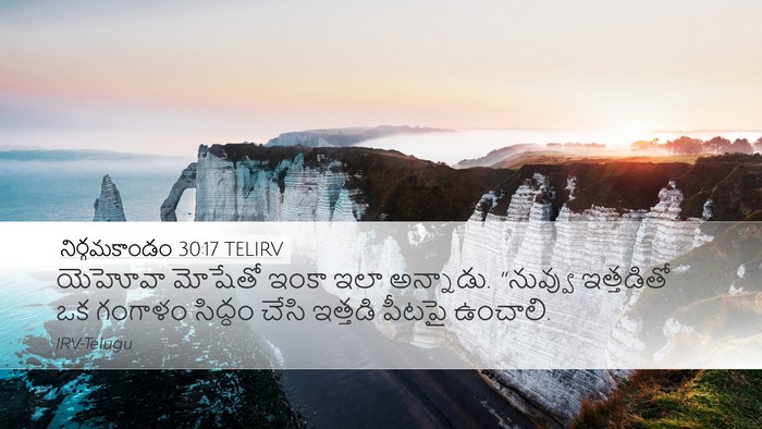 నిర్గమకాండం 30:17 TELIRV Bible Verse Image
