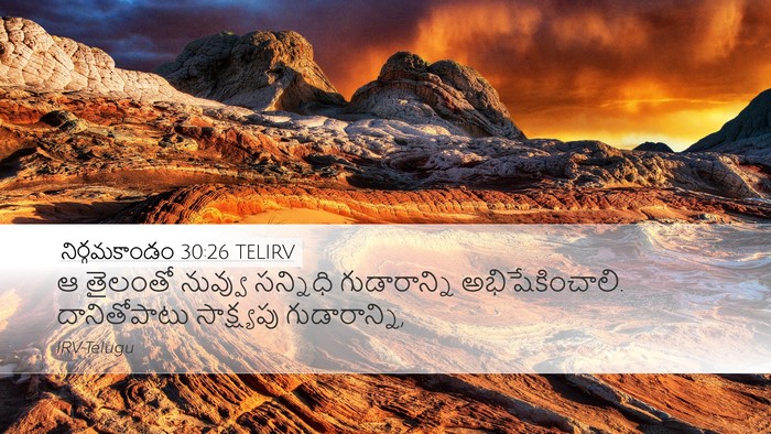 నిర్గమకాండం 30:26 TELIRV Bible Verse Image