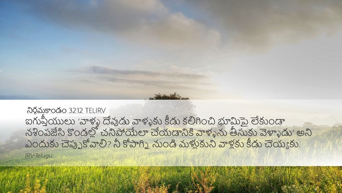 నిర్గమకాండం 32:12 TELIRV Bible Verse Image