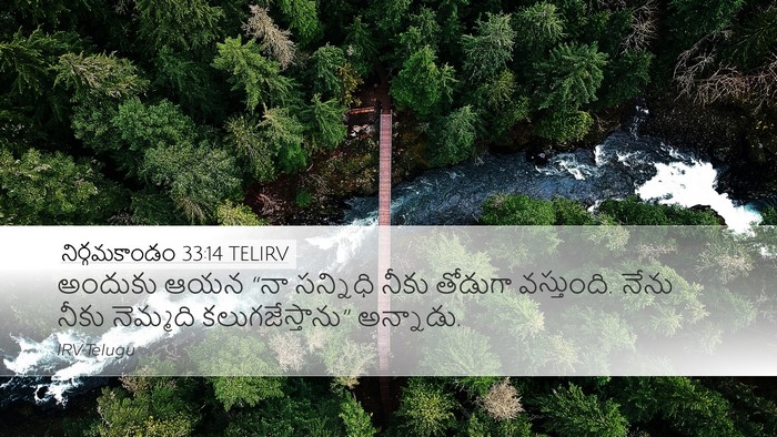 నిర్గమకాండం 33:14 TELIRV Bible Verse Image