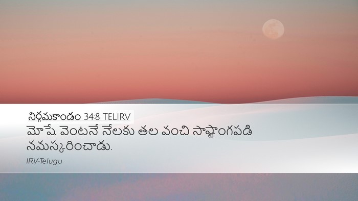 నిర్గమకాండం 34:8 TELIRV Bible Verse Image