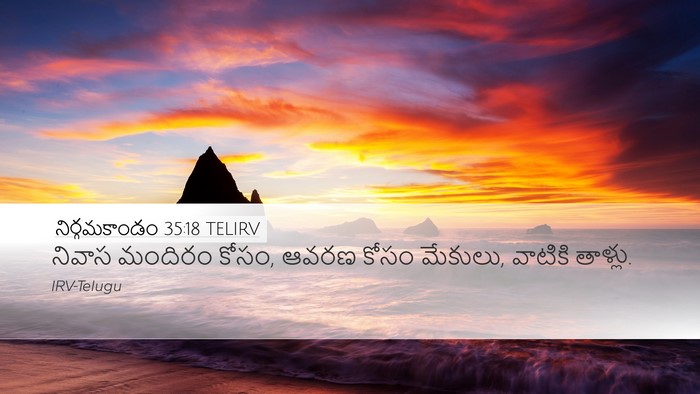 నిర్గమకాండం 35:18 TELIRV Bible Verse Image