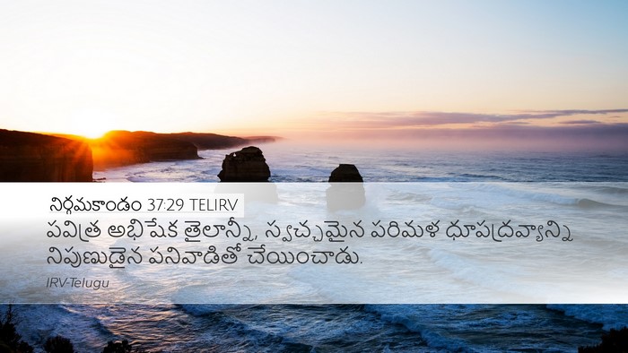 నిర్గమకాండం 37:29 TELIRV Bible Verse Image