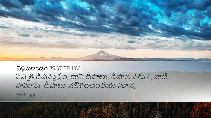 నిర్గమకాండం 39:37 TELIRV Bible Verse Image