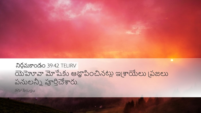 నిర్గమకాండం 39:42 TELIRV Bible Verse Image