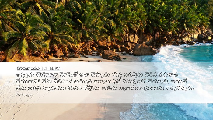 నిర్గమకాండం 4:21 TELIRV Bible Verse Image