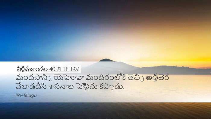 నిర్గమకాండం 40:21 TELIRV Bible Verse Image