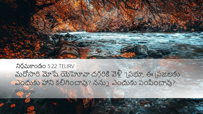 నిర్గమకాండం 5:22 TELIRV Bible Verse Image