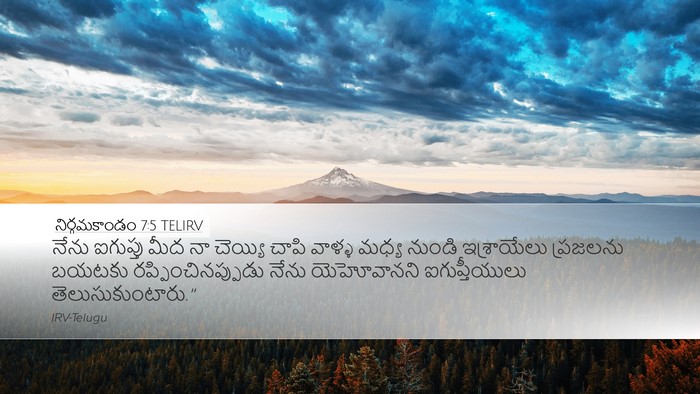 నిర్గమకాండం 7:5 TELIRV Bible Verse Image