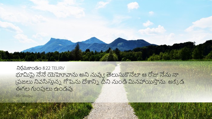 నిర్గమకాండం 8:22 TELIRV Bible Verse Image