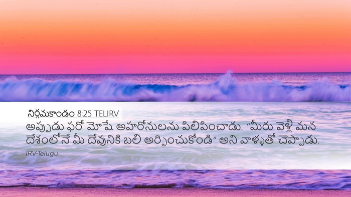 నిర్గమకాండం 8:25 TELIRV Bible Verse Image