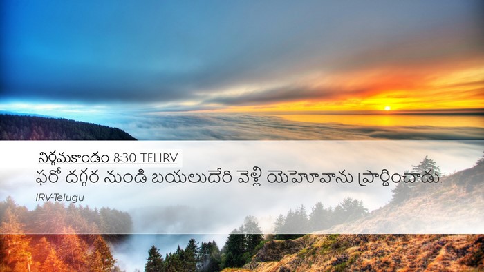 నిర్గమకాండం 8:30 TELIRV Desktop Wallpaper - ఫరో దగ్గర నుండి - Desktop Bible Verse Wallpaper