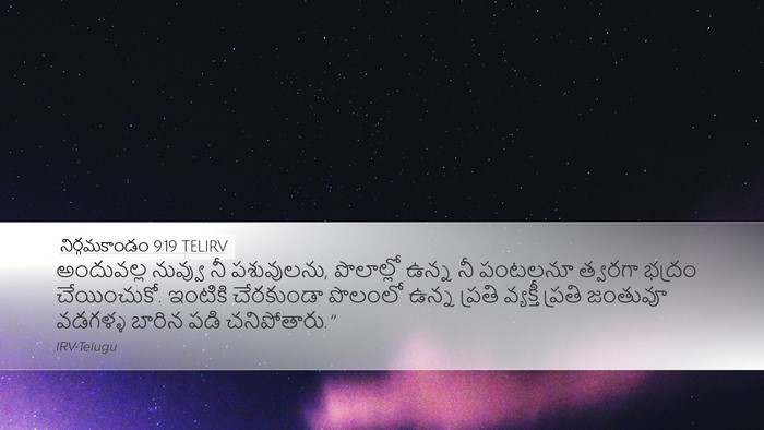 నిర్గమకాండం 9:19 TELIRV Bible Verse Image