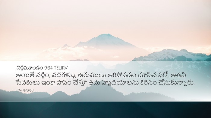 నిర్గమకాండం 9:34 TELIRV Bible Verse Image