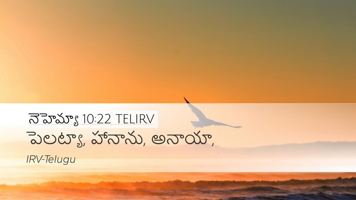 నెహెమ్యా 10:22 TELIRV Desktop Wallpaper - పెలట్యా, హానాను, - Desktop Bible Verse Wallpaper